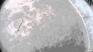 IMG 7645