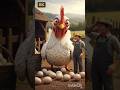 The farmer had a hen that laid lots of eggs 😭 #ai #hen #farmer #egg#crazy toy tv