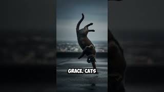 "Purr-Fectly Nimble: Discover the Incredible Acrobatics of Cats! 🐾✨"