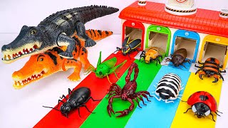 [🐞Toy Asmr🐞] Remote Control Animals : Crocodile - Ladybug - Ant - Firefly | Satisfying Unboxing ASMR