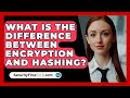 Encryption vs. Hashing: Key Differences You Need to Know 🔐