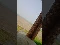 #farming #funny