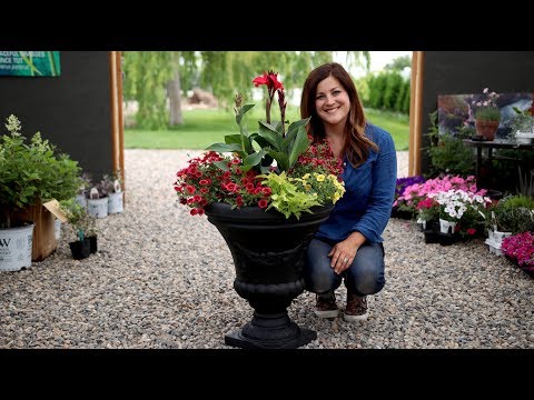 Video: Flowerpots: Wooden Outdoor Planters For Plants And Plastic Tubs, Other Flowerpots. What Kind Of Plants Can You Grow?