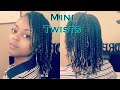 Mini Twists on Dry/Stretched Hair | Mini Twists on Fine Hair