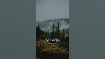 سورة آل عمران #محمود_خليل_القارئ|قالب قران كاب كات|quran-capcut-template