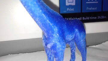 Flashforge Dreamer - 80 micron Giraffe Part 2