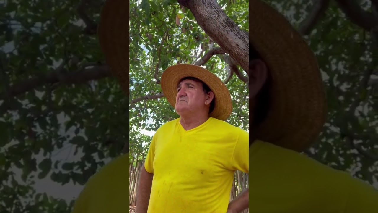 Os melhores da semana 