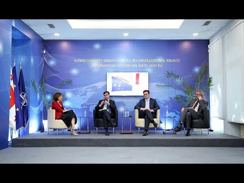 ევროპის დღეების შეჯამება