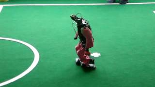 Robot Darmstadt Dribblers levantandose