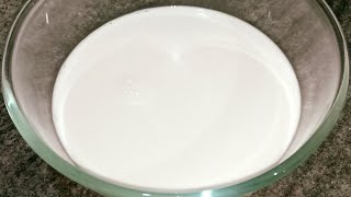 Peanut Milk and Peanut Curd Recipe | Vegan Milk and Vegan Curd/Yogurt Recipe