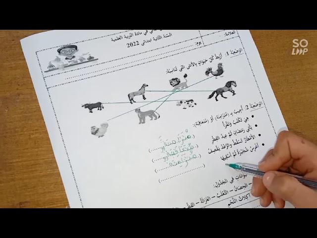 اختبار الفصل الثاني في مادة التربية العلمية، السنة الثانية، أكملوا في أقل من 5 دقائق 🤍