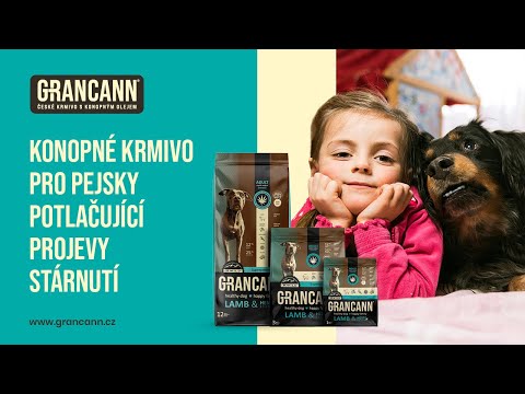 Video: Je Agility pre vášho psa správna?