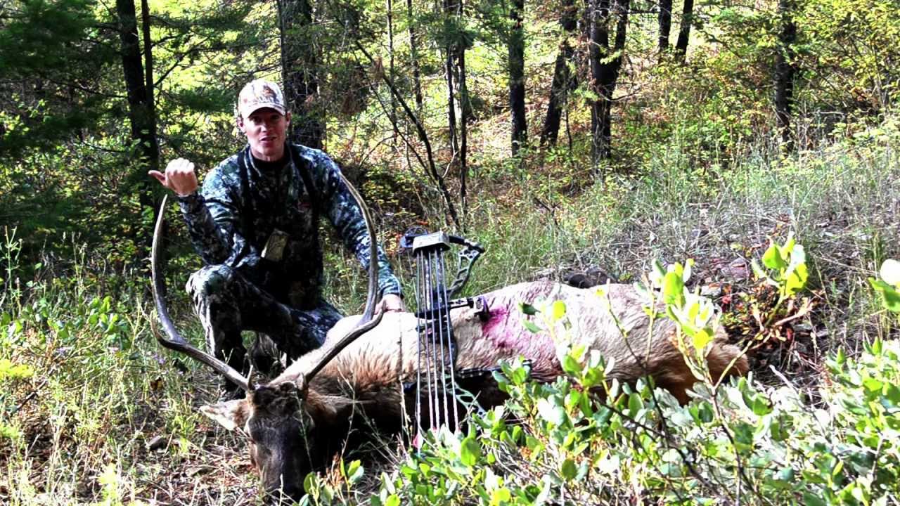 2012 MT Archery Bull Elk - Episode 4 - YouTube