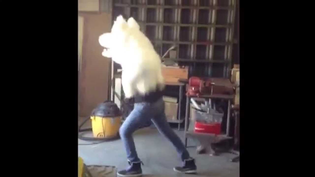 discowolf.avi
