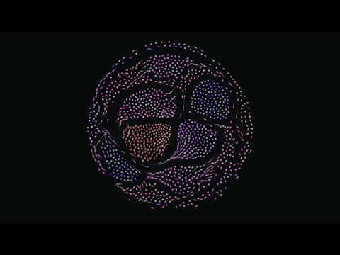 Processing animation: particles seemingly autonomously sort themselves into different color clusters
