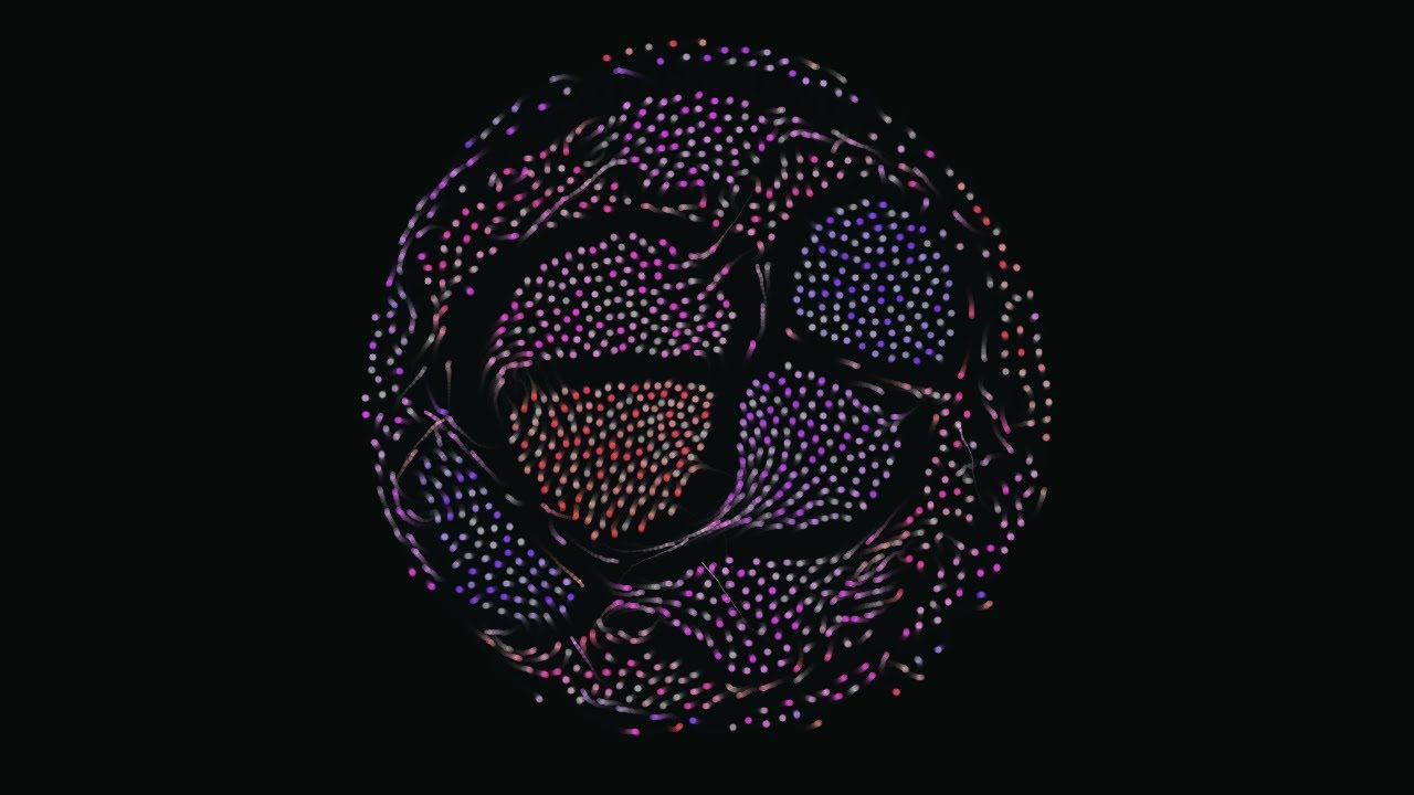 Processing animation: particles seemingly autonomously sort themselves ...