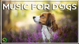 Relaxing Jazz Music For Dogs - The perfect relaxation music for your dog. 3 hours of beautiful jazz