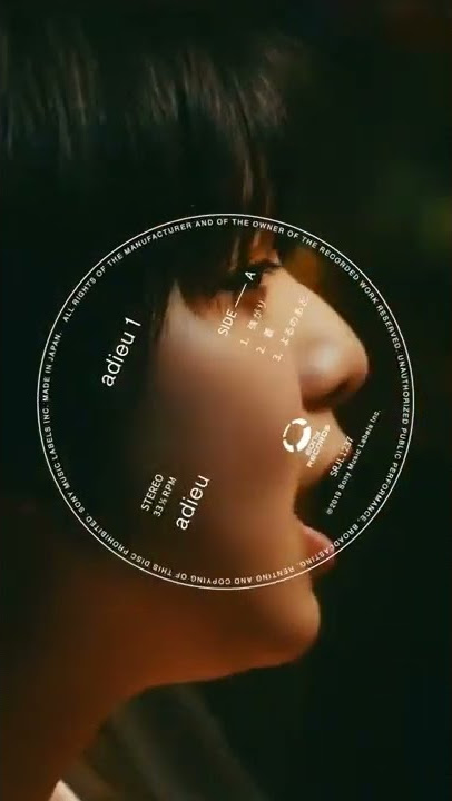 adieu「adieu 1」Analog LP              3.30 Release