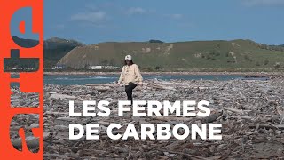 Nouvelle-Zélande : les fermes carbone | ARTE Reportage