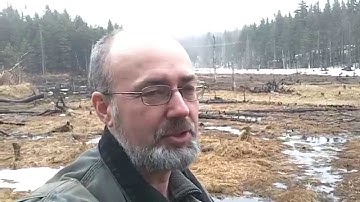 Think outside the box, by thinking inside the Box!