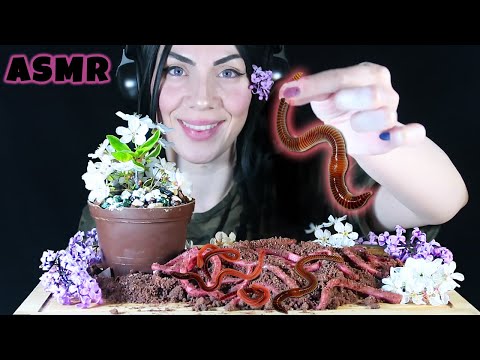 SAKSI ve SOLUCAN YEDİM | ÇİKOLATADAN YENİLEBİLİR SAKSI, TAŞ, ÇİÇEK, TOPRAK | Asmr Türkçe | Mukbang