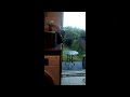 thunderstorm caught on camera! peppa pig plays with kinder cards!