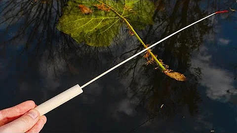 自作タナゴ竿で小魚釣りsmall Fish Fishing With Your Own Fishing Rod تحميل Download Mp4 Mp3