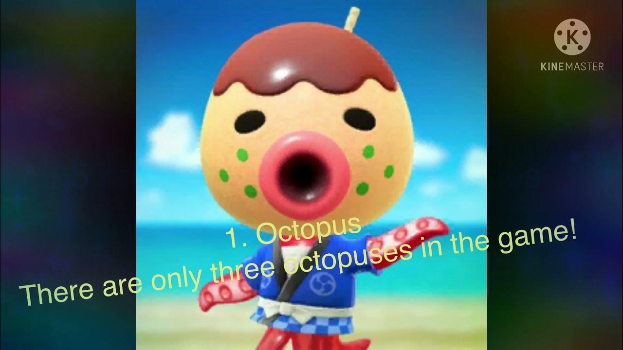 Top 5 rarest acnh villager species YouTube
