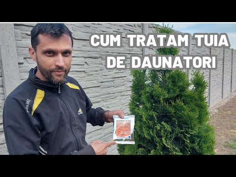 Video: Trajtimi akaricidal kundër rriqrave: rregullat dhe veçoritë