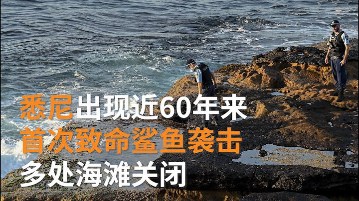 悉尼海灘出現60年來首次致命鯊魚襲擊  鯊魚長達4.5米 | 澳洲新聞| SBS中文 - 天天要聞