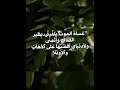 عساه الموت يلفيني قبل ما تروح وتهلجر يا طير الصاف تانيني يافاطمة باسم ــ الكربلائي عساه الموت يلفيني قبل ما تروح وتهلجر يا طير الصاف تانيني يافاطمة باسم ــ الكربلائي