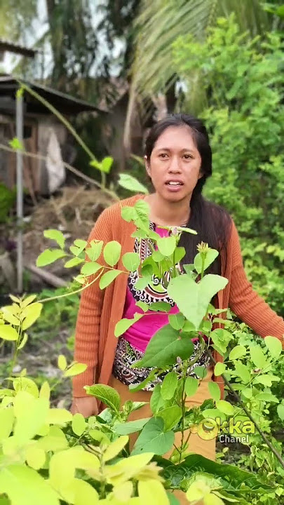 wes angel #dagelan #lucu