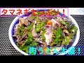 【一人deごはん】Let’s eat！タマネキ丸々1個投入だ～！豚バラ肉と合わせて「たっぷりタマネギ肉うどん大盛り」！