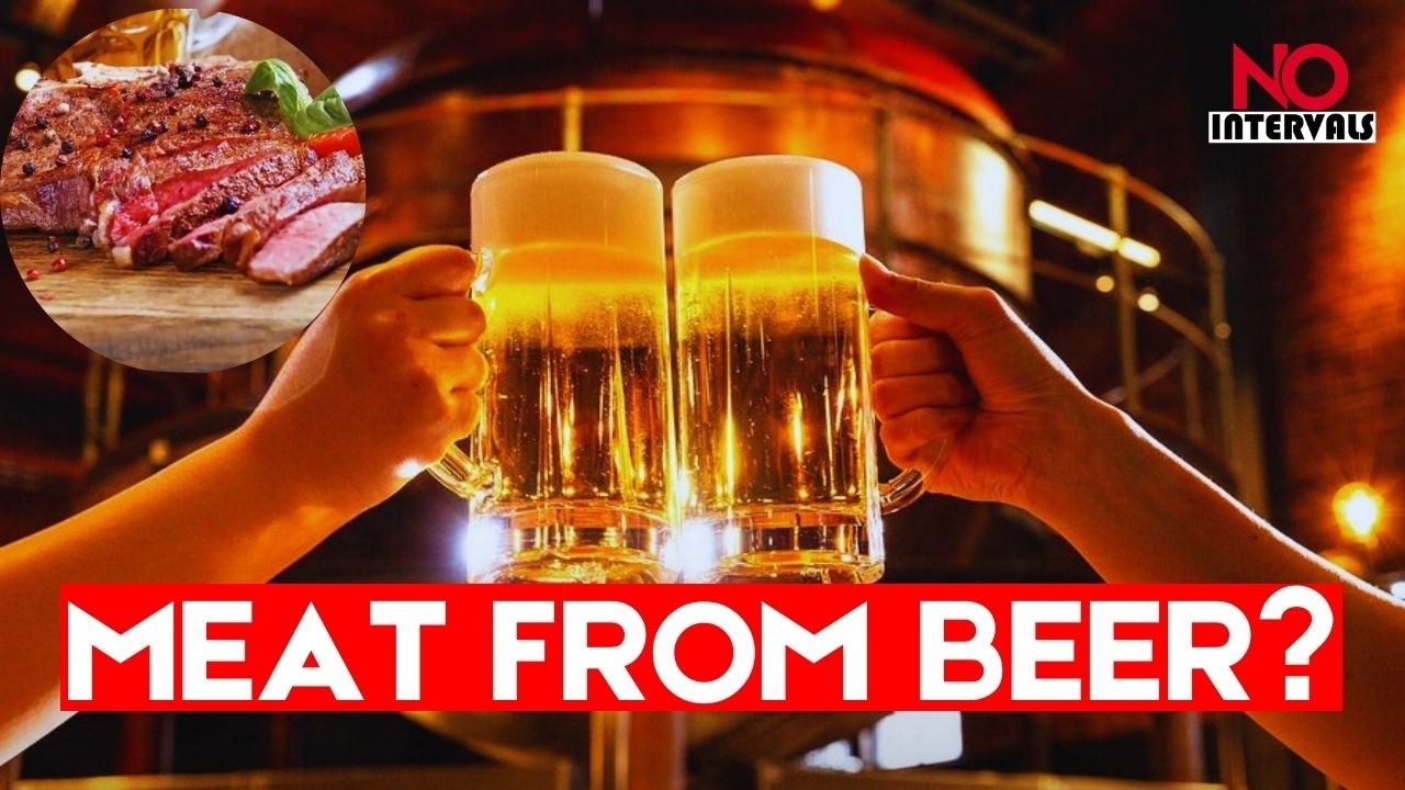 Beer Waste Is The Secret To Lab-Grown Meat! | Lifestyle