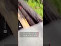 Flood in Nepal mountain collapses