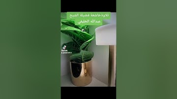 ٢٤ أكتوبر ٢٠٢٢تلاوة خاشعة لفضيلة الشيخ عبدالله الخليفي