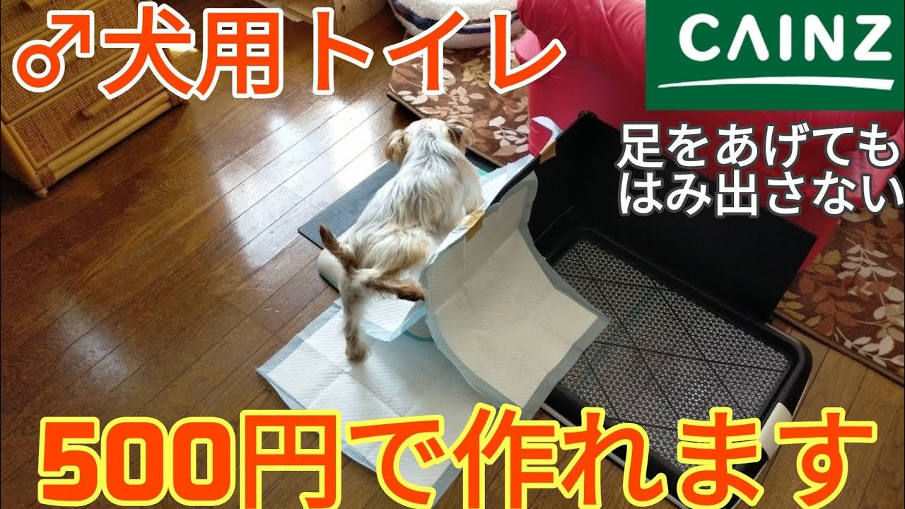 Diy お悩み解決 足をあげても おしっこをはみ出さないオス犬用のトイレを500円で作ってみた Youtube