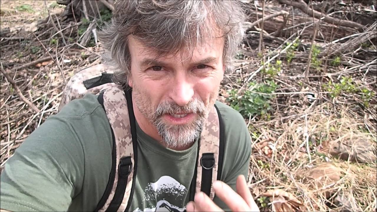 Spring River Adventure: I Witness a MURDER! (of crows)