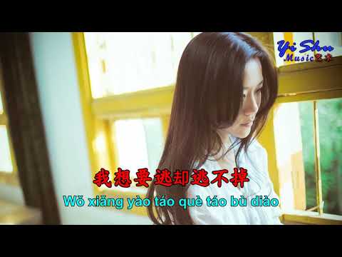 龙梅子---你不明了-ni-bu-ming-liao-~-lyric-pinyin