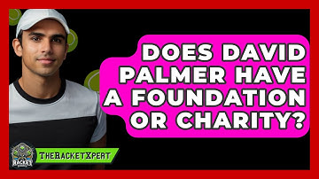 Does David Palmer Have A Foundation Or Charity? - The Racket Xpert