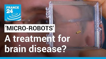 California start-up hopes to send micro-robots into human brains • FRANCE 24 English