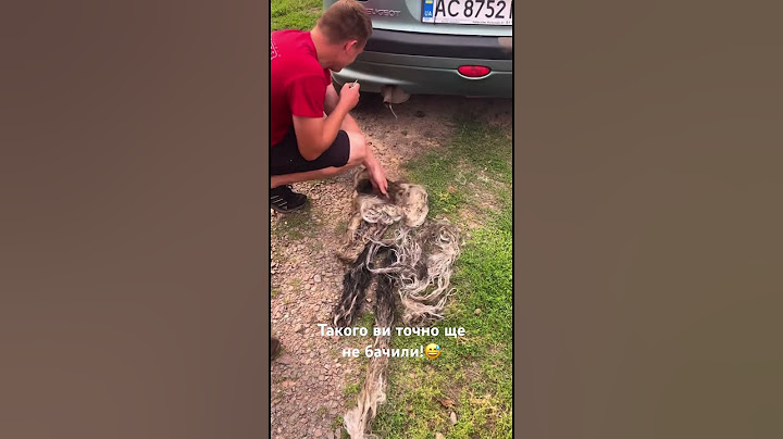 Такого ви точно ще не бачили!😅 #авто #лайфхак #automobile