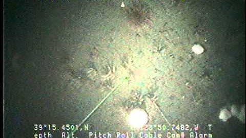 C210NC_tape35v.noaudio.mpg