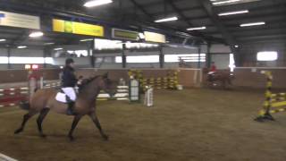 Hazinthe Van Het Dingeshof 110 Drammen 06.03.16