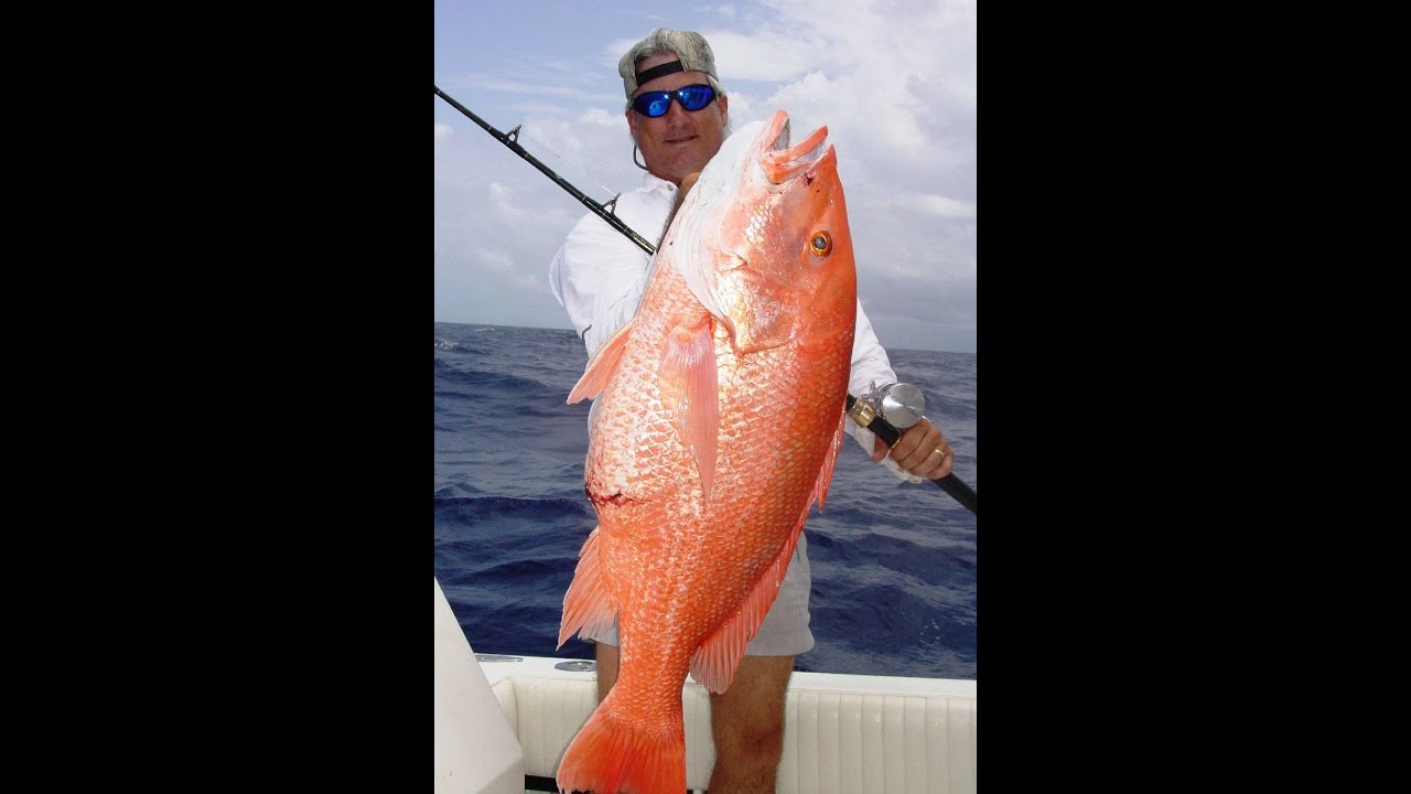 Off Shore Blue Water Fishing