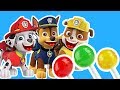 Paw Patrol : la Pat'Patrouille PAW Patrol Brasil Chase skye marshall Zuma sweet candy