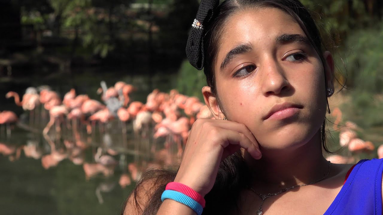 boxconnect.org: C0017-teen_girl_flamingos_nature_sad.mov