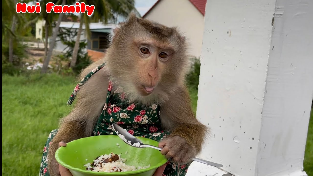 Princess Nui is very smart when she knows how to use a spoon