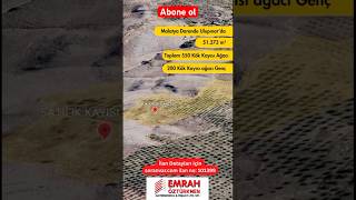 Malatya Darende Ulupınarda Satılık 51 Dönüm Kayısı Bahçesi 550 Kök Kayısıyla Yatırım Fırsatı