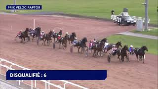 Vidéo de la course PMU PRIX VELOCIRAPTOR